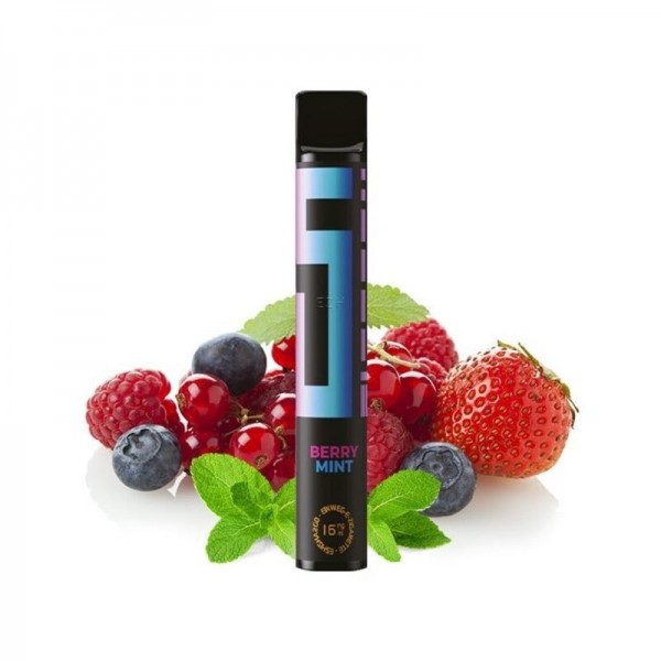 5 ELEMENTS - Berry Mint Einweg E-Zigarette mit Steuerzeichen (Nikotinfrei/Nikotinsalz)
